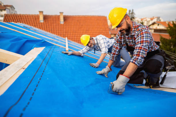 Best Storm Damage Roof Repair  in Windsor, VA