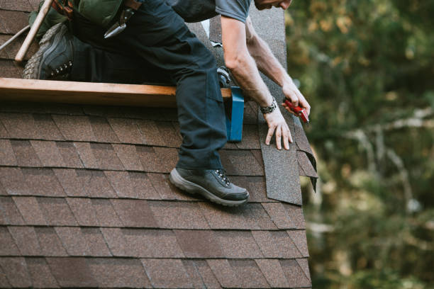 Best Roof Gutter Cleaning  in Windsor, VA